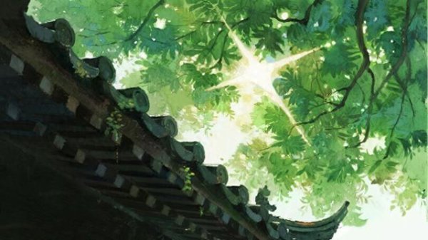 三伏天“晒背”受追捧 群众提醒这么晒更科学