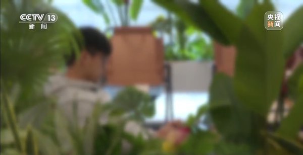 从缅甸电诈园区出险回家，高中生胡一啸王人资历了什么？