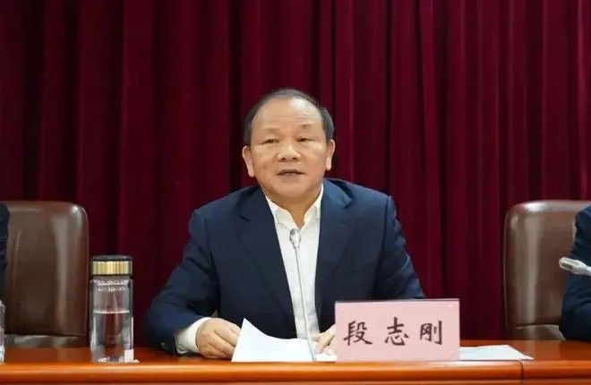 段志刚，在干部托付中违规为支属营利